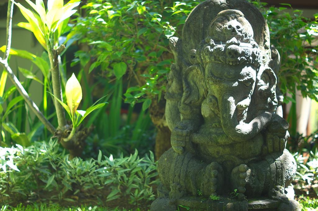 Indo Rumah Zengarden Pabean Buleleng Стая снимка