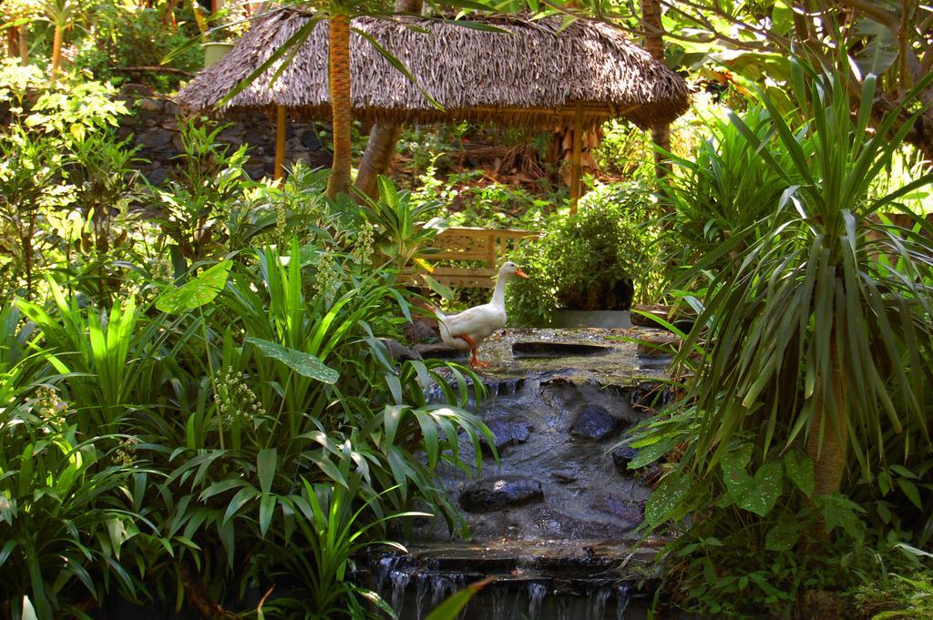 Indo Rumah Zengarden Pabean Buleleng Екстериор снимка